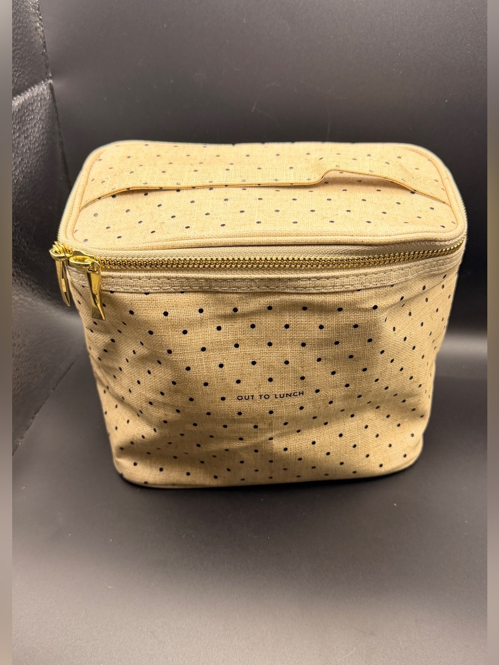 Kate Spade New York Out to Lunch Insulated Zipper Box Lunch Bag Polka Dot NWT